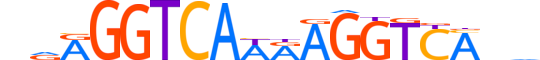 RARG.H12RSNP.3.S.B motif logo (RARG gene, RARG_HUMAN protein)