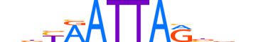 TLX2.H12RSNP.0.SM.B motif logo (TLX2 gene, TLX2_HUMAN protein)