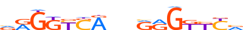 VDR.H12RSNP.0.PS.D motif logo (VDR gene, VDR_HUMAN protein)