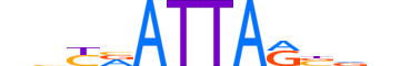 VENTX.H12RSNP.0.SM.B motif logo (VENTX gene, VENTX_HUMAN protein)