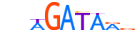 GATA6.H12RSNP.0.PSM.A motif logo (GATA6 gene, GATA6_HUMAN protein)
