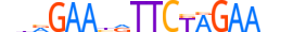 HSF1.H12RSNP.0.PSM.A motif logo (HSF1 gene, HSF1_HUMAN protein)