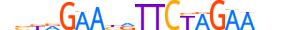 HSF4.H12RSNP.0.SM.B motif logo (HSF4 gene, HSF4_HUMAN protein)