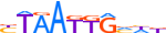 ISL1.H12RSNP.0.PSM.A motif logo (ISL1 gene, ISL1_HUMAN protein)