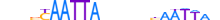 MSX1.H12RSNP.1.S.C motif logo (MSX1 gene, MSX1_HUMAN protein)