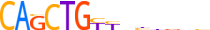 MYOD1.H12RSNP.0.P.B motif logo (MYOD1 gene, MYOD1_HUMAN protein)