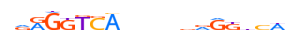 RARA.H12RSNP.1.P.B motif logo (RARA gene, RARA_HUMAN protein)