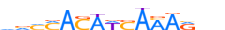 TCF7.H12RSNP.0.PSM.A motif logo (TCF7 gene, TCF7_HUMAN protein)